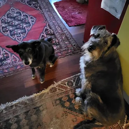 Bondi Frühstückspension