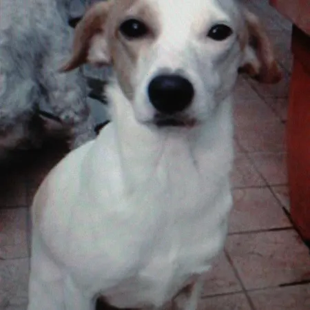 Frühstückspension Bondi 3*