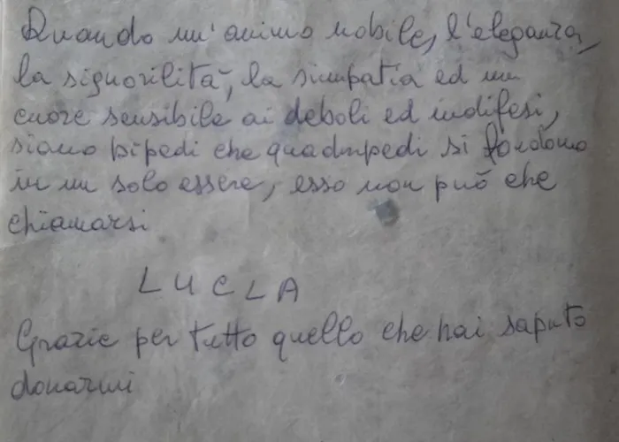 Bondi Bed & Breakfast