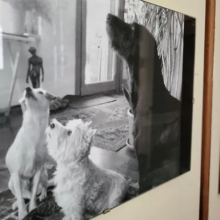 Frühstückspension Bondi Ravenna