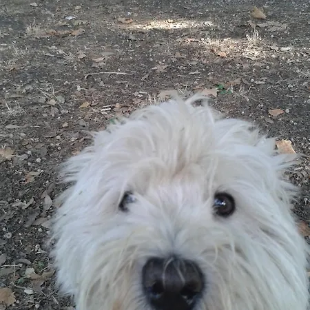 Frühstückspension Bondi