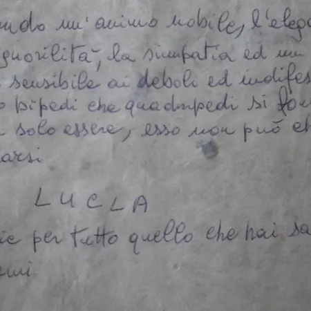 Bondi Frühstückspension