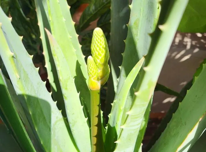 Bed & Breakfast Bondi Ravenna