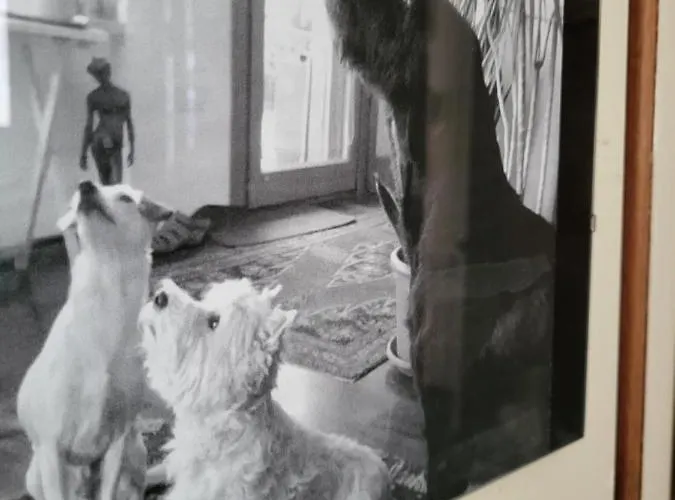 Bed & Breakfast Bondi Ravenna