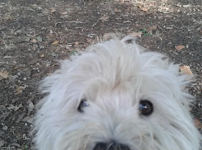 Bed & Breakfast Bondi