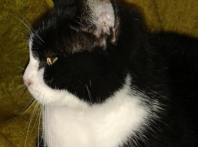 Bed & Breakfast Bondi Ravenna